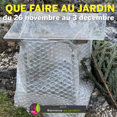 QUE FAIRE DANS LE JARDIN du 26 NOVEMBRE au 3 DÉCEMBRE ? cover