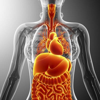 L'âme, le corps et le langage cover