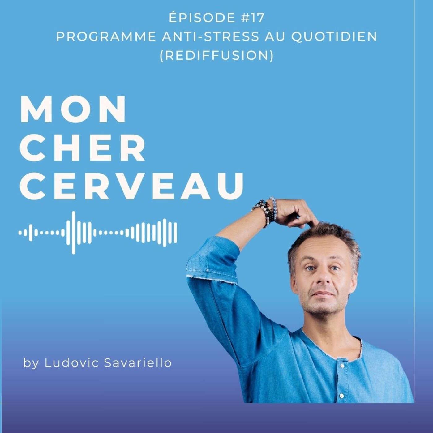 Mon cher cerveau : le podcast qui fournit la notice d\'utilisation !
