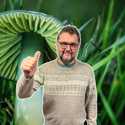 Champignons, les choses à savoir cover