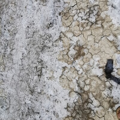 tu as beau dire - par Gwenn cover