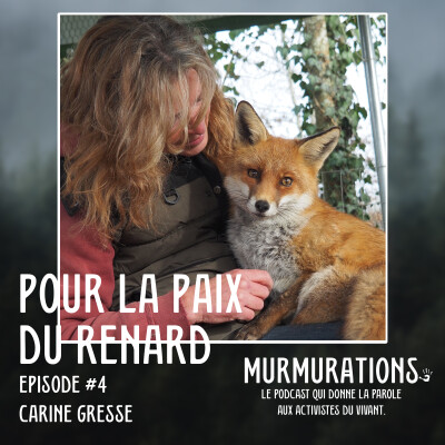 Carine Gresse - Pour la paix du renard / MURMURATIONS LE PODCAST QUI DONNE LA PAROLE AUX ACTIVISTES DU VIVANT cover