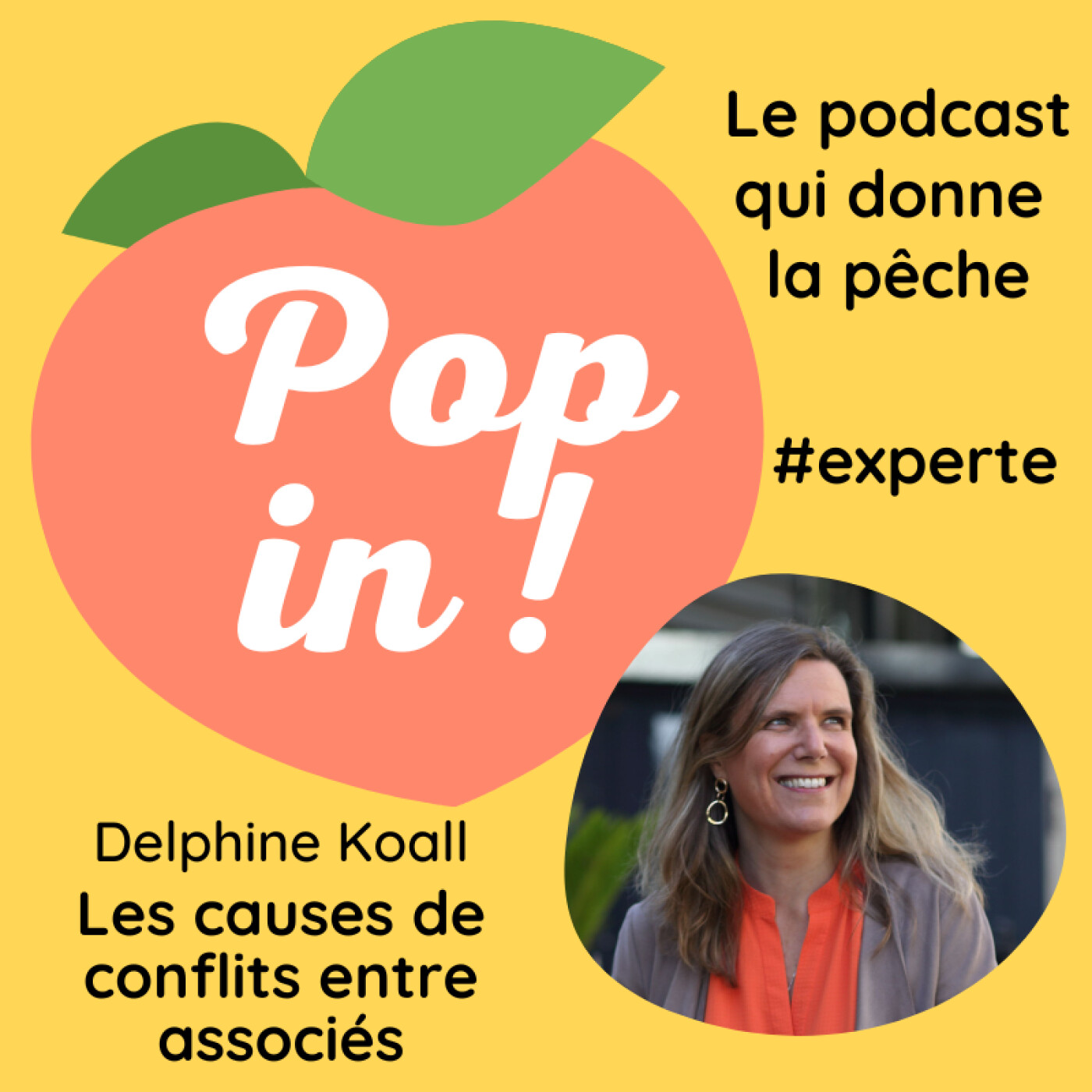 Les causes de tensions et conflits dans la relation des cofondateurs - Delphine Koall