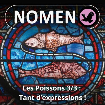 S05E11 Les Poissons 3/3 : Des expressions à toutes les sauces cover
