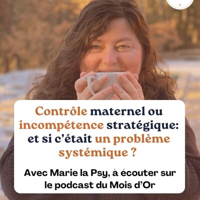 Contrôle maternel ou incompétence stratégique paternelle : et si c'était un problème systémique ? cover