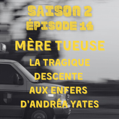 Mère tueuse : La tragique descente aux enfers d'Andréa Yates cover