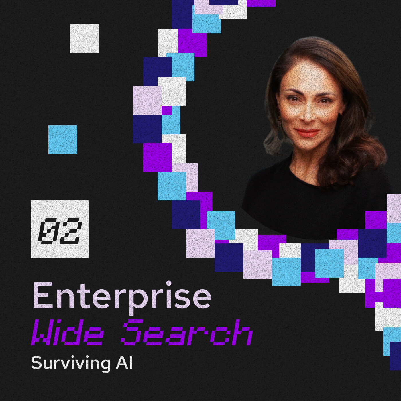 Enterprise Wide Search 02: Sol Rashidi - Surviving AI episode artwork
