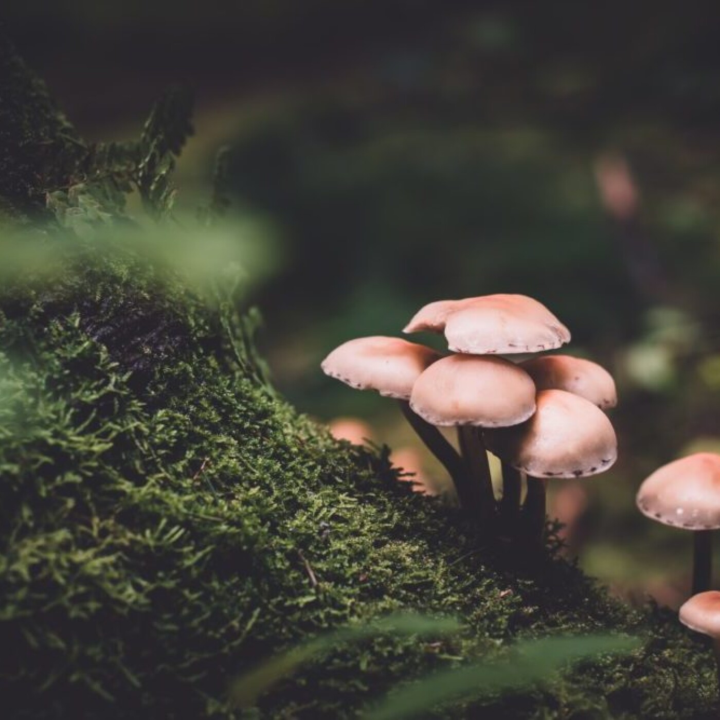 JOUR 8 - LA PORTE DE CE QUI CONTINUE MALGRÉ TOUT