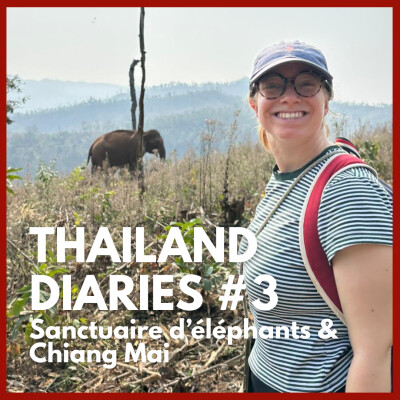 Thailand Diaries #3 - Sanctuaire d'éléphants & Chiang Mai : sortir de sa zone de confort cover