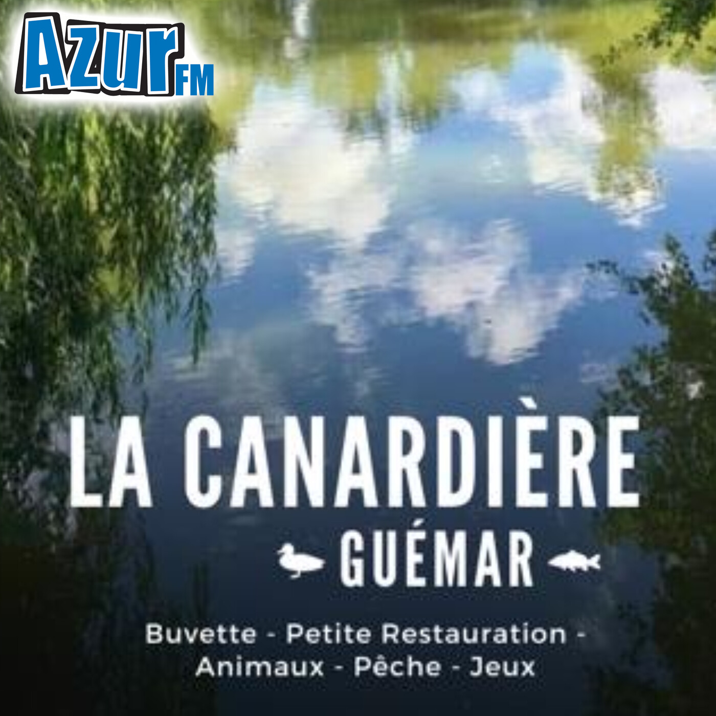 Guémar : Un marché thématique à l’étang de la Canardière episode artwork