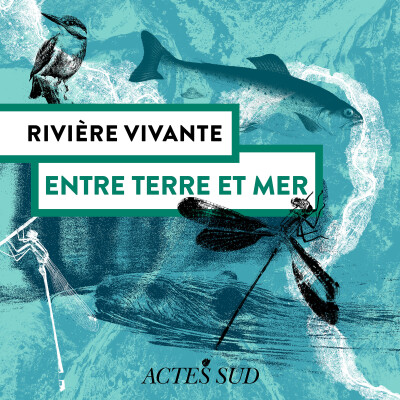 Rivière Vivante - Entre terre et mer, le delta du Rhône - Épisode 1/6 cover