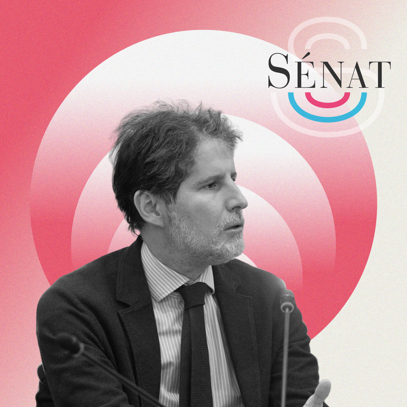 Zones grises de l'information : audition de Giuliano Da Empoli, auteur, conseiller politique et professeur à Sciences-Po Paris
