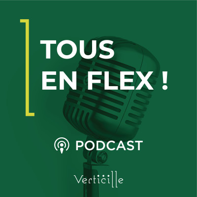 Tous en flex ! cover