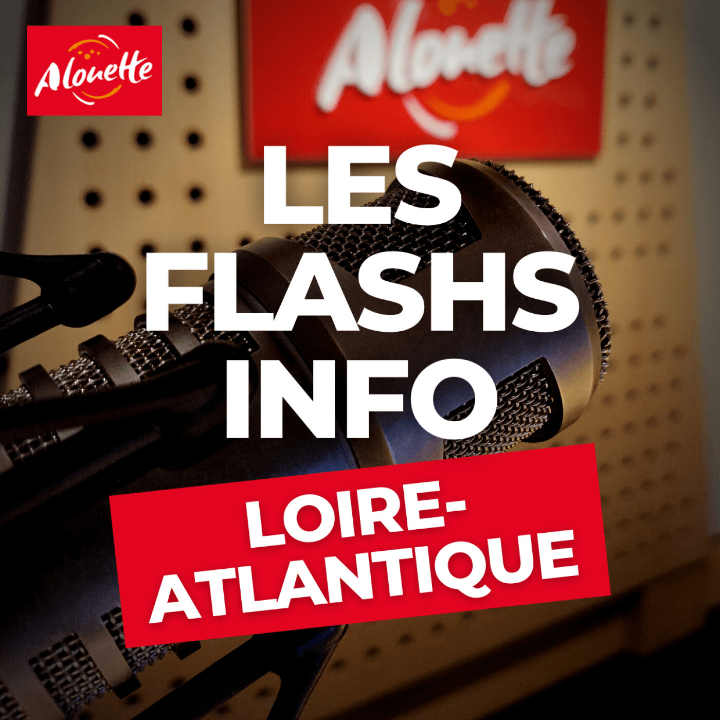 Alouette - Les Infos du 15 Mars 16h00 en Loire-Atlantique.