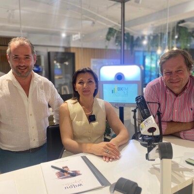Podcast - Wilou-signature - Elena Sandulache - Louis de Limburg - Design cover