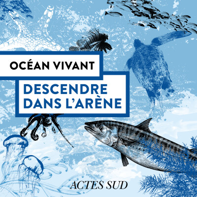 Descendre dans l'arène - Océan Vivant - Épisode 4/6 cover