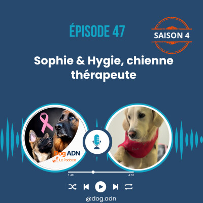 #47, Hygie chienne thérapeute cover