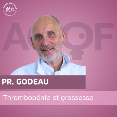 Thrombopénie et grossesse - Pr. Godeau cover