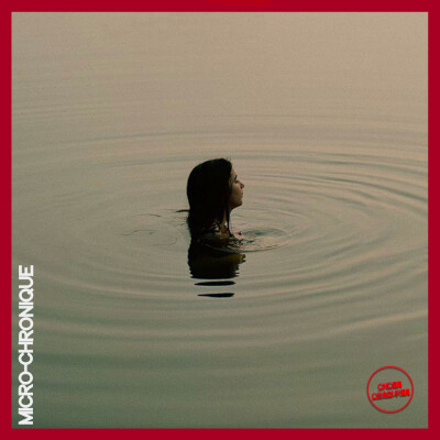 Micro-chronique #2 : Falcon Lake cover