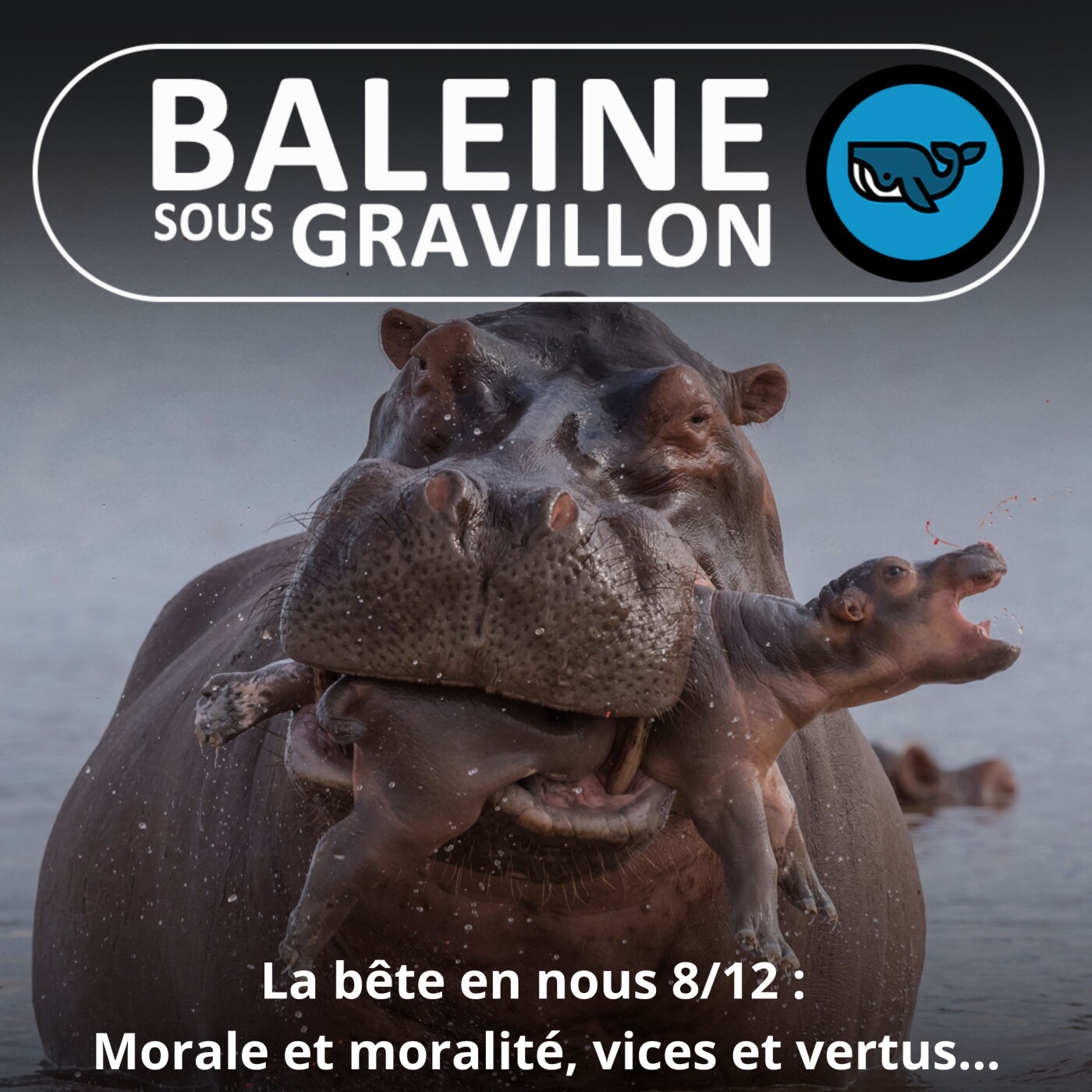 S03E75 La bête en nous 8/12 : Morale et moralité, vices et vertus... Jessica Serra (éthologue)