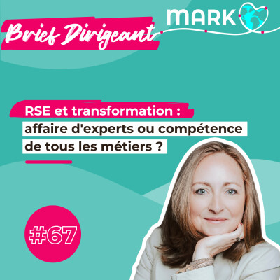 #67 RSE et transformation : affaire d'experts ou compétence de tous les métiers ? Brief Dirigeant cover