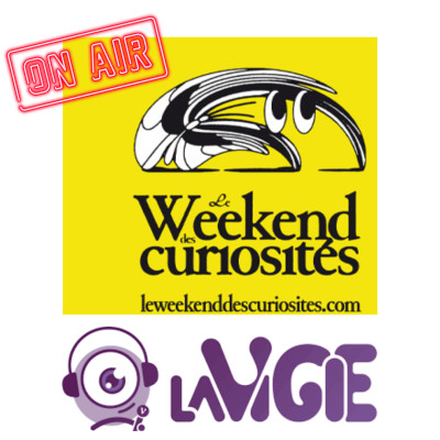 La Vigie au Biniki - Johnnie Carwash cover