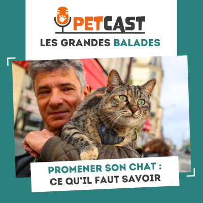 Promener son chat : ce qu’il faut savoir ! cover