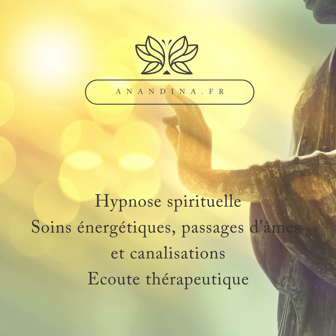 Anandina, Accompagnatrice de potentialités