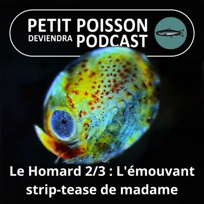 S03E27 Le Homard 2/3 : L'émouvant strip-tease de madame cover