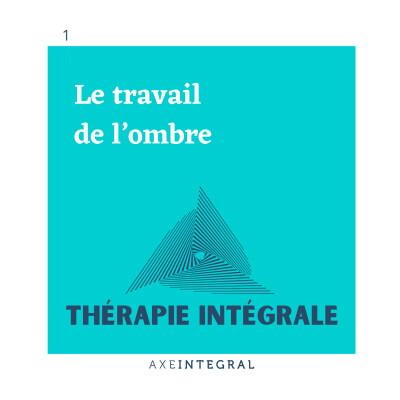 Le travail de l'ombre - Shadow work cover