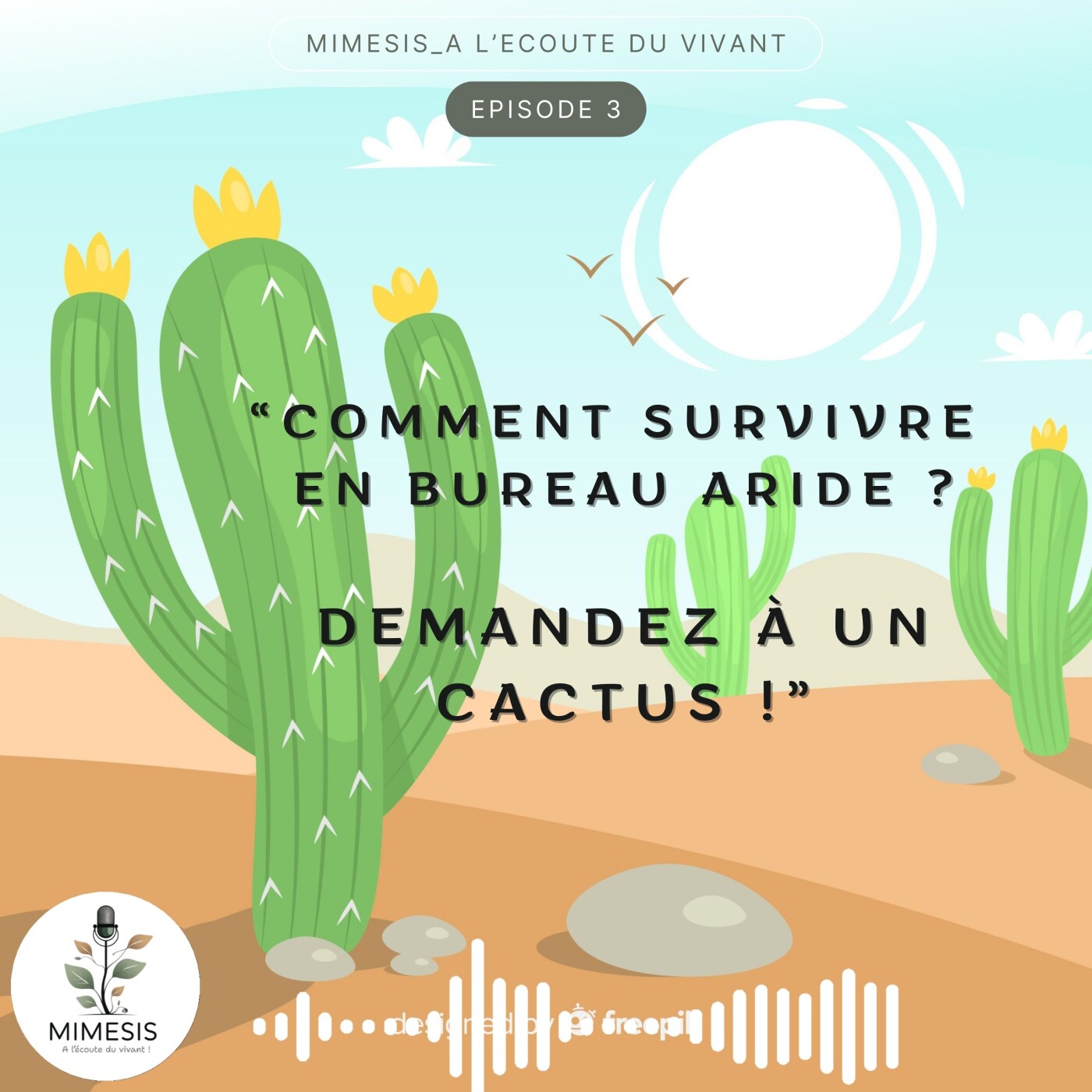 Comment survivre en bureau aride ? Demandez à un cactus ! - Ep.03
