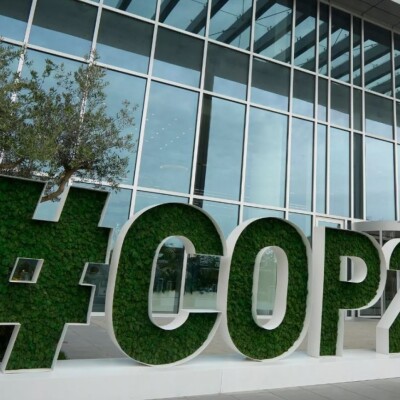 Que retenir de la COP 29 ? cover