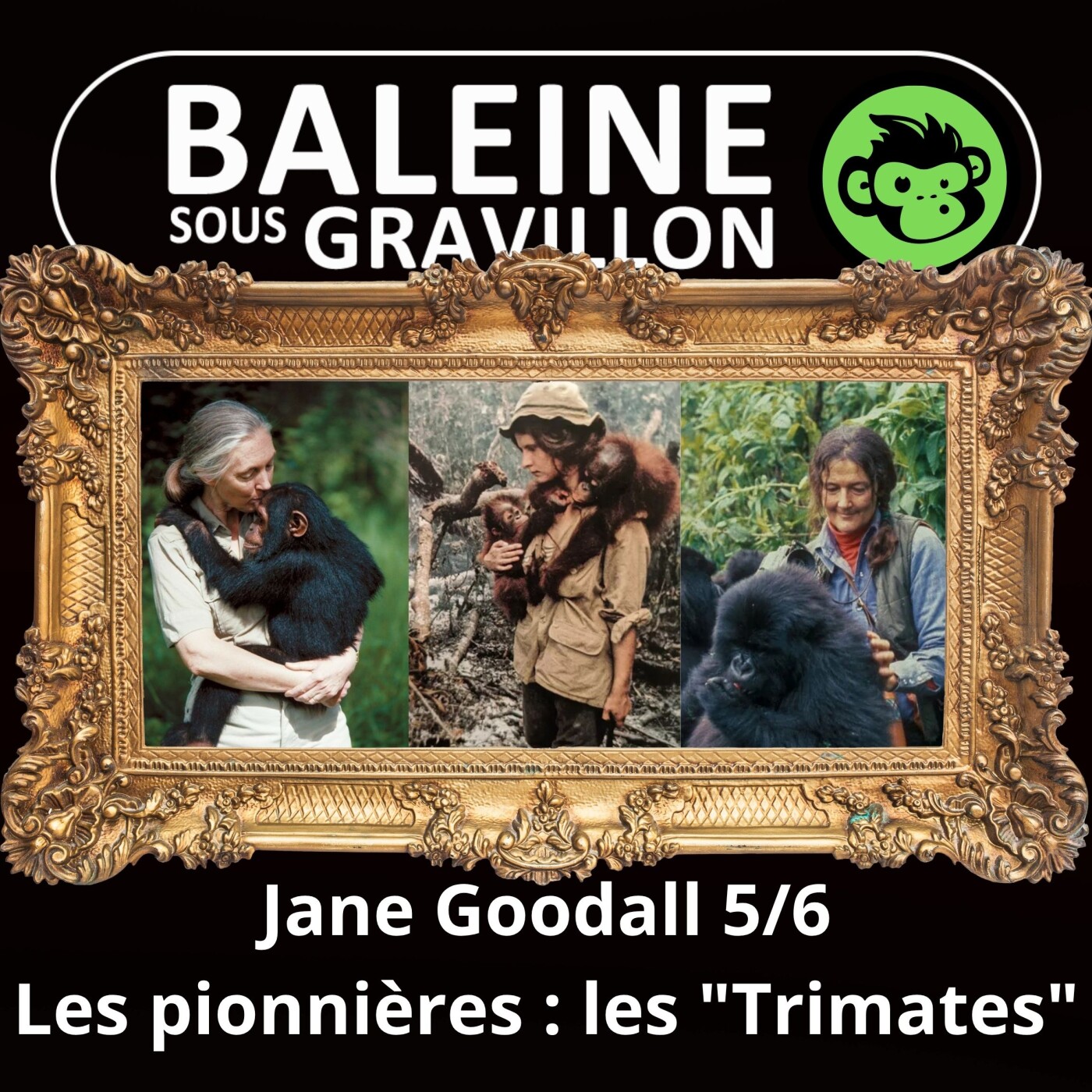S07E25 Jane Goodall 5/6 : Les "Trimates", le temps des pionnières (Emmanuelle Grundmann)