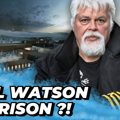 Le PIRATE qu'ils veulent faire taire ! (Paul Watson, Sea Shepherd, Prison, Extradition...) cover