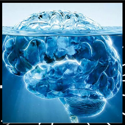 Bien être épi 32, Les processus inconscients de la communication avec Sylvie Rochard cover