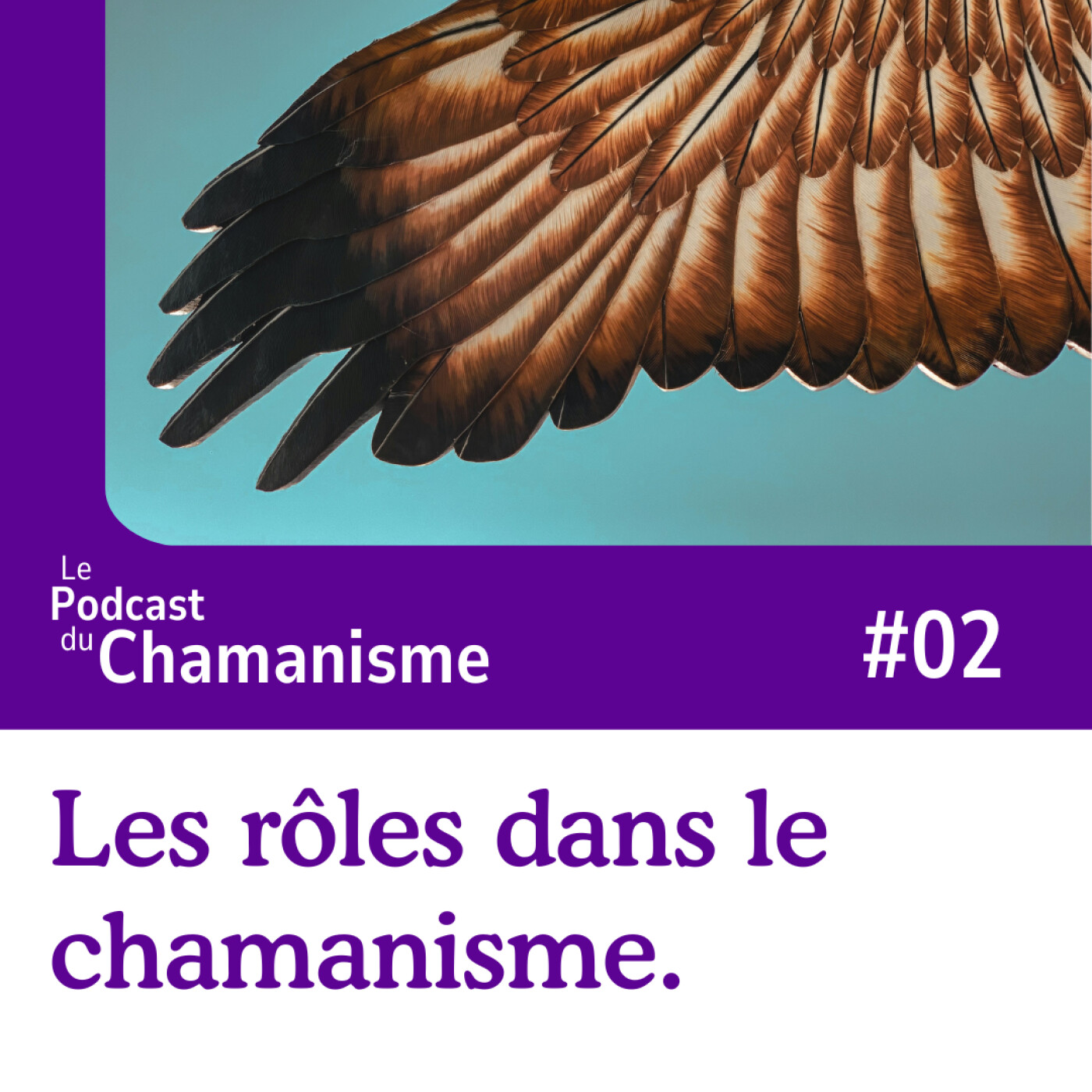 #02_Les rôles en chamanisme. episode artwork