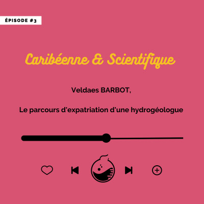 #3 Veldaes BARBOT, Le parcours d'expatriation d'une hydrogéologue cover