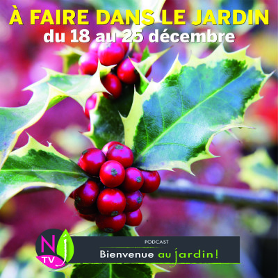 QUE FAIRE DANS LE JARDIN DU 18 AU 25 DÉCEMBRE ? cover