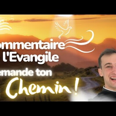 Trouve ton Chemin ! Commentaire de l'Evangile • Homélie | Dimanche 9 juillet cover