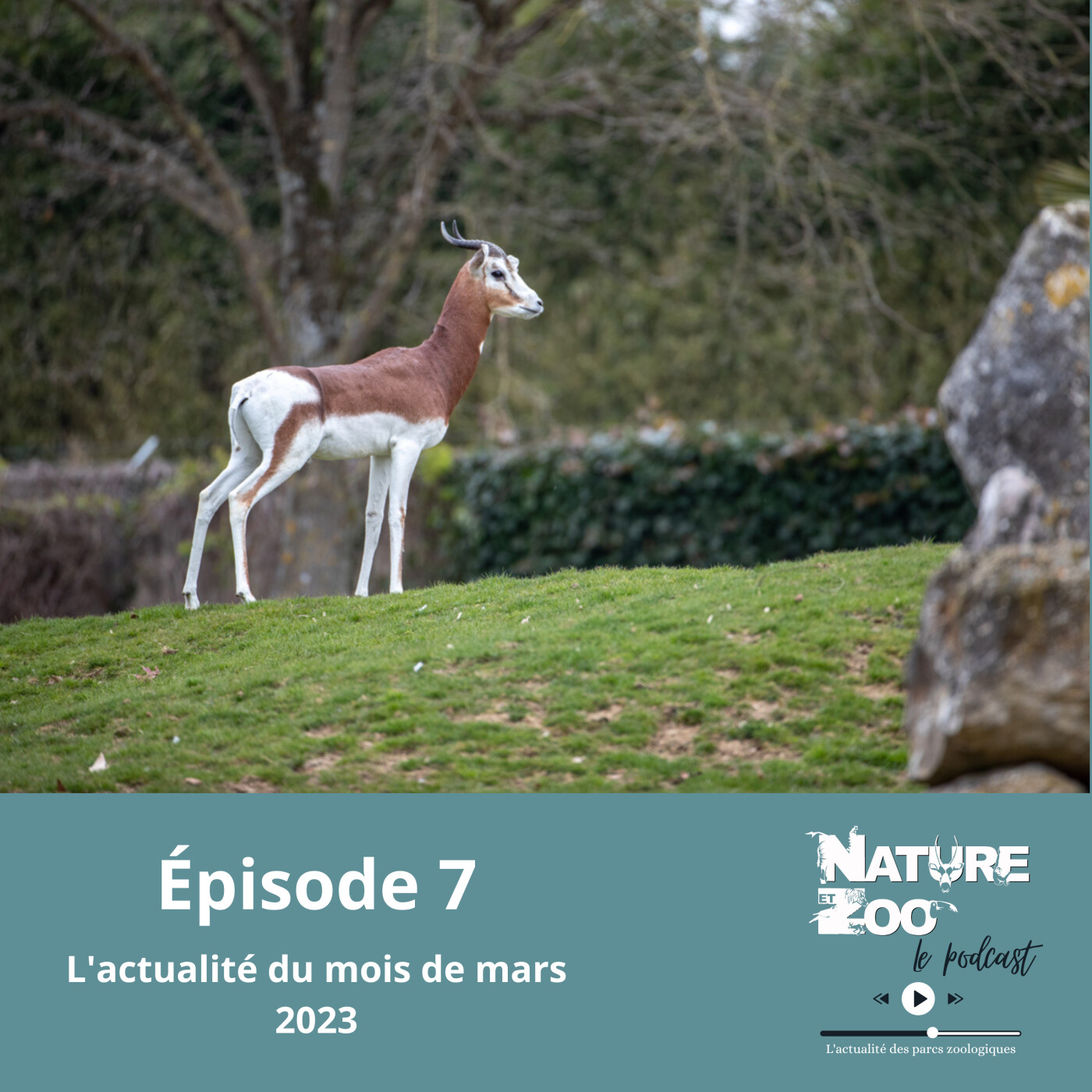 Nature et Zoo - Le Podcast