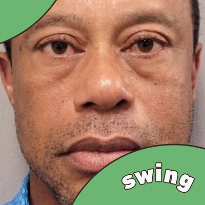 Woods, l'accident de trop ? cover