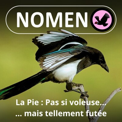 S01E75 La Pie : Pas si voleuse, mais tellement maligne... cover