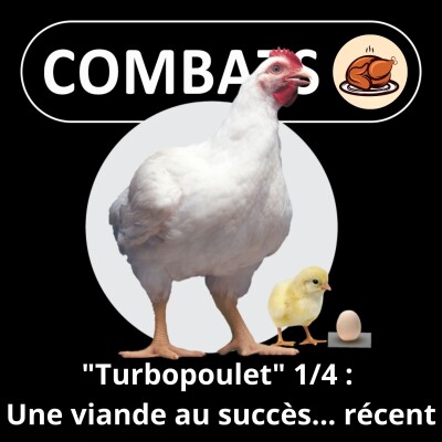 S05E63 Le "Turbopoulet" 1/4 : Un succès mondial... récent (Axelle Playoust-Braure) cover