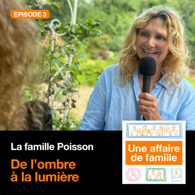 #03 - De l'ombre à la lumière [Saison 3 - La famille Poisson] cover