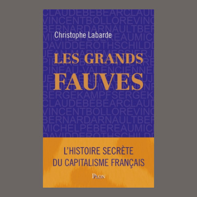 Christophe Labarde - Les grands fauves cover