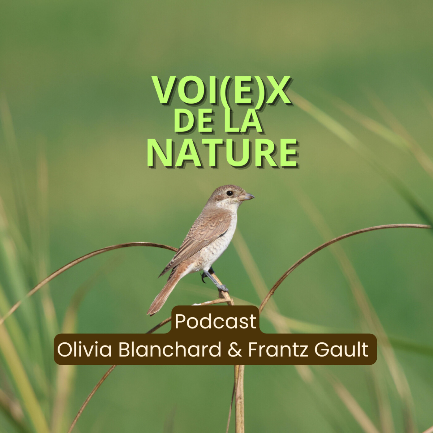 Les voi(e)x de la nature cover art