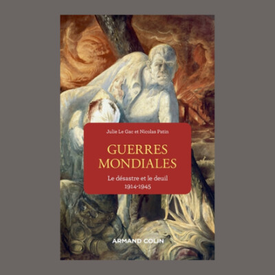 Nicolas Patin - Les guerres mondiales : 1914-1945 cover