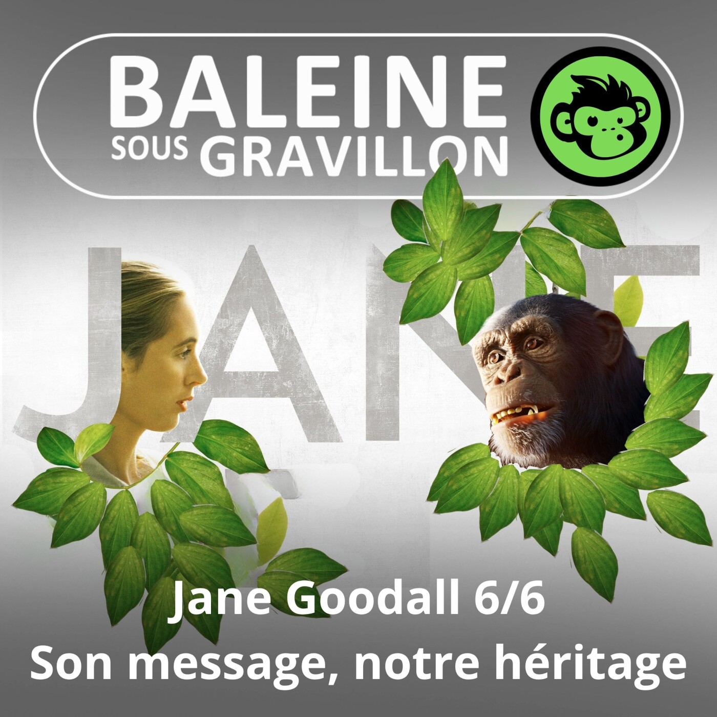 S07E26 Jane Goodall 6/6 : Son message, notre héritage (Emmanuelle Grundmann)