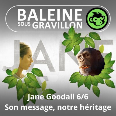 S07E26 Jane Goodall 6/6 : Son message, notre héritage (Emmanuelle Grundmann) cover
