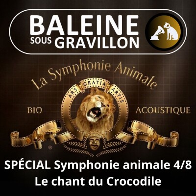 BEST OF D'ÉTÉ #38 Symphonie animale 4/8 : Les larmes... et le chant des crocos cover